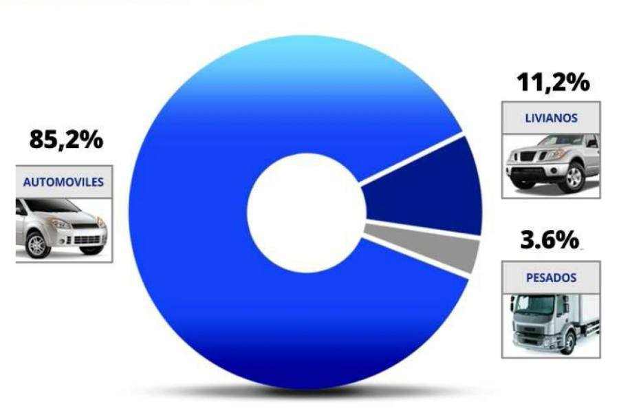2019-07-05-el-parque-automotor-de-argentina-como-esta-conformado-2-02