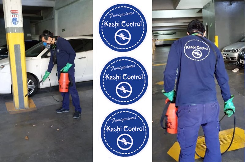 Kashi Control: Fumigación y Desinfección 24 Horas