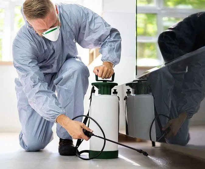 Kashi Control: Fumigación y Desinfección 24 Horas