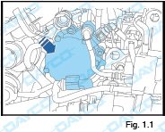 Dayco: Kit de distribución KBIO14