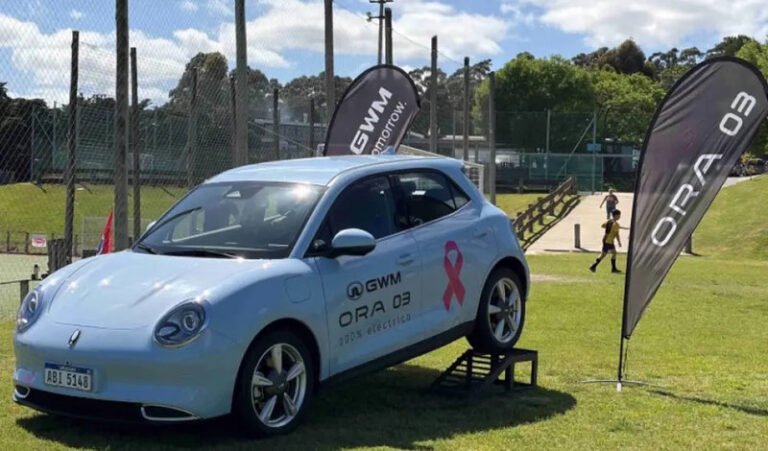 GWM apoyó una jornada solidaria