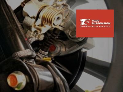 TODO SUSPENSIÓN: Sitio Web