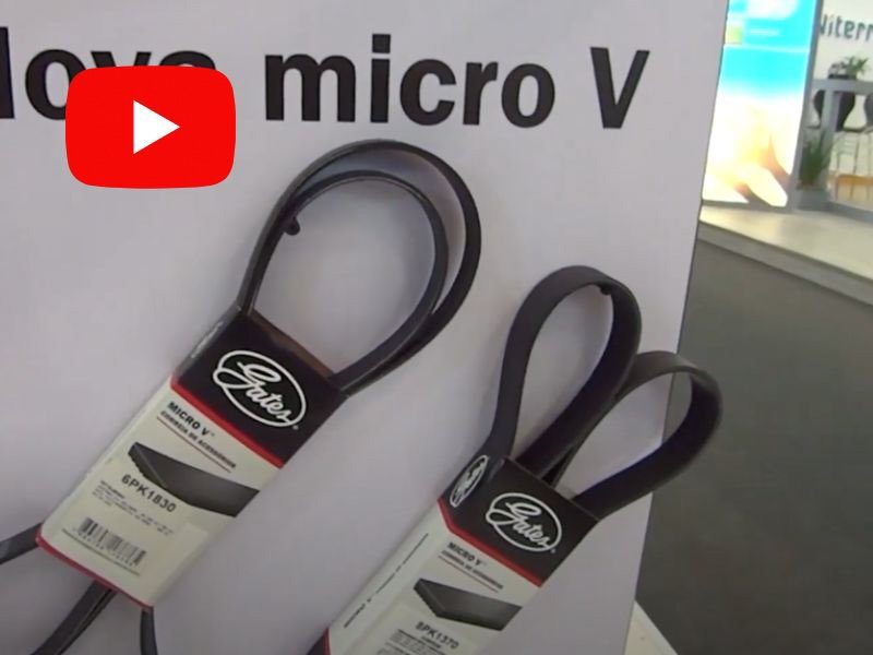 Taller Actual TV · 19 de diciembre 2024