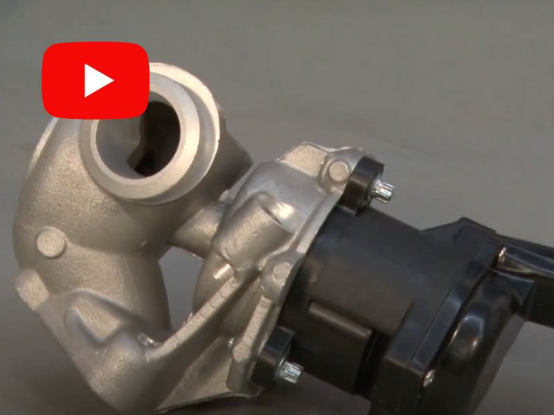 Taller Actual TV · 02 de enero 2025