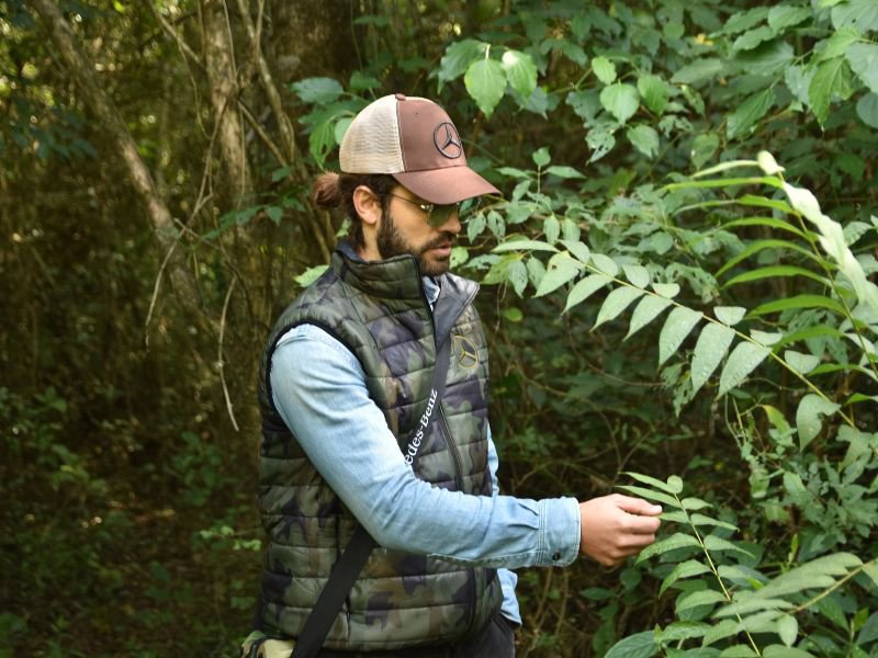 Mercedes-Benz planta un árbol por cada unidad