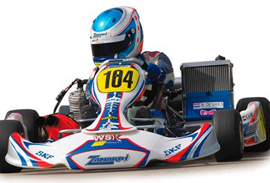 Descripción de Producto SKF: Unidad para kartings