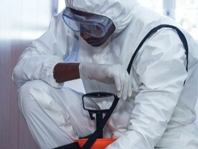 KASHI CONTROL y su Servicio de Control de Plagas