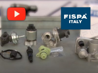 Institucional Fispa: Una Empresa Italiana con Filial en Argentina